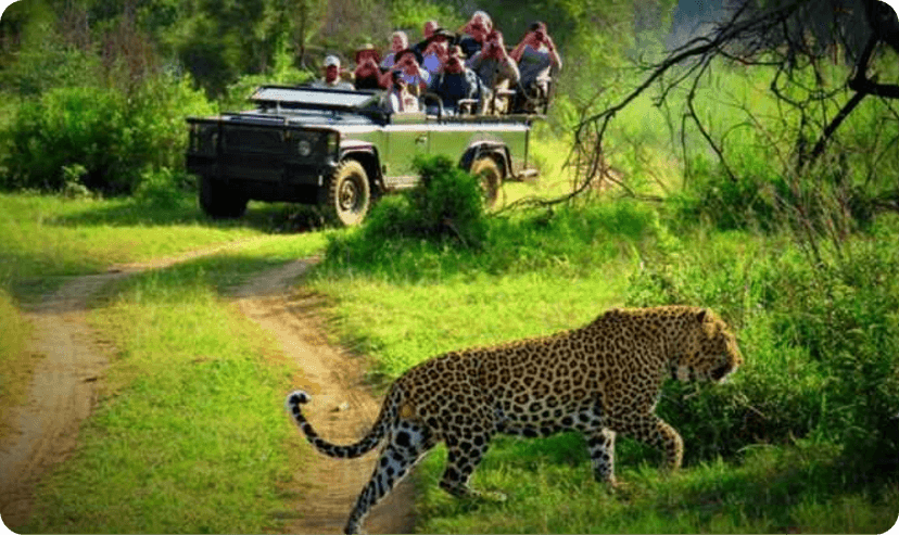 Popular destination 3